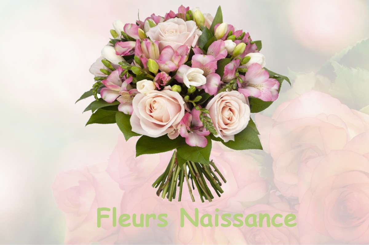 fleurs naissance SUSVILLE