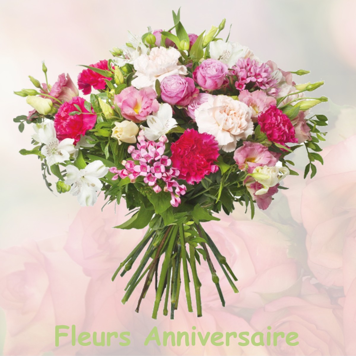 fleurs anniversaire SUSVILLE