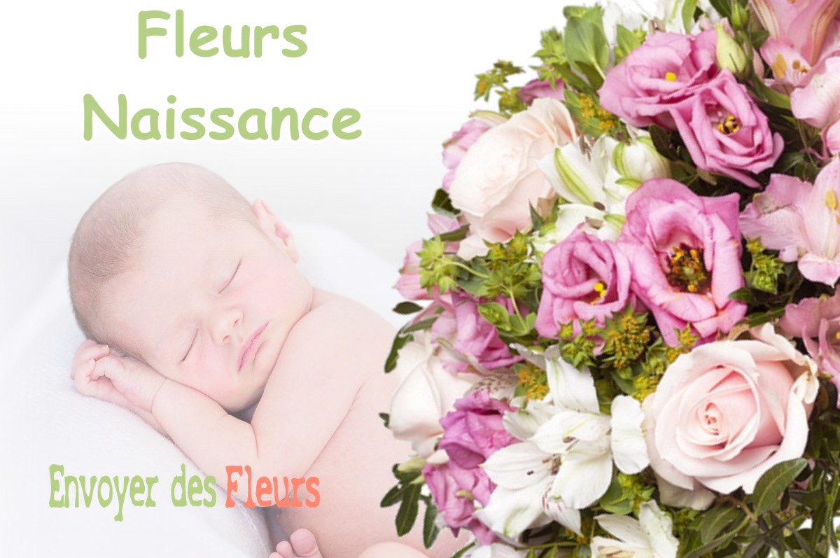 lIVRAISON FLEURS NAISSANCE à SUSVILLE